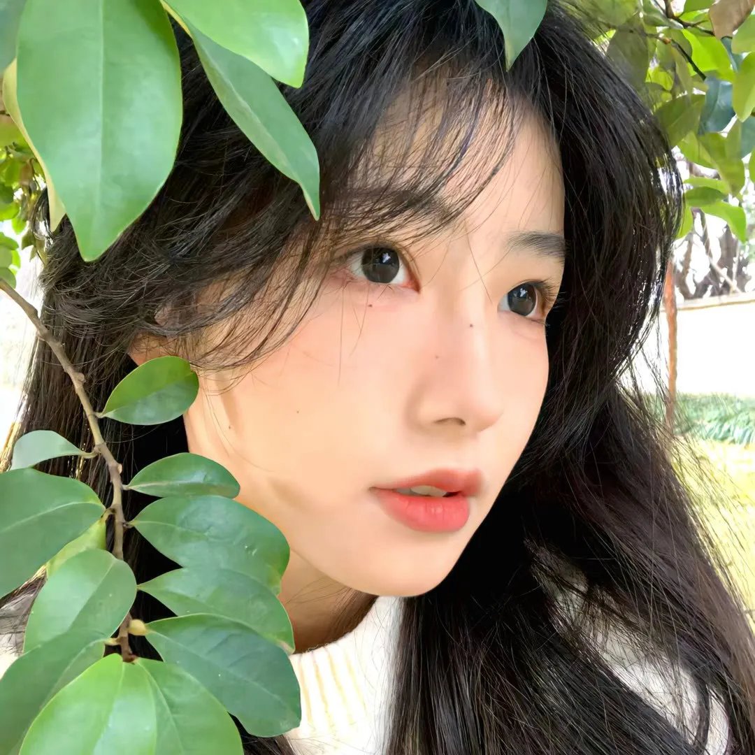 我们的雨色协议